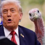 Trump turkey