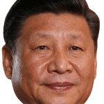 Xi Jinping's face