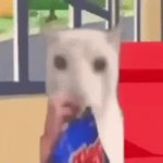 cat eating chips on bus GIF Template