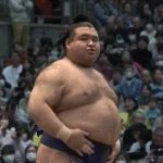 Belly slap sumo GIF Template