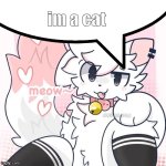 i was too lazy to make another one :( | im a cat | image tagged in femboy boykisser speech bubble,fun | made w/ Imgflip meme maker