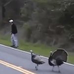 Qapla' turkey GIF Template