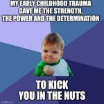 Train the Younglings | MY EARLY CHILDHOOD TRAUMA GAVE ME THE STRENGTH, THE POWER AND THE DETERMINATION; TO KICK YOU IN THE NUTS | image tagged in success kid,slavic ace combat,years of academy training wasted | made w/ Imgflip meme maker