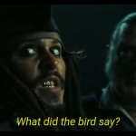 What did the bird say?