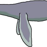 Male Cryptoclidus (Paleoverse + EOIverse)