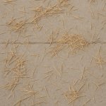 THIS FLAT CEMENT SIDEWALK and across it lays various amounts of