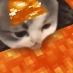 cat streak GIF Template