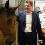 Wenn du sogar Pferde depressiv machst