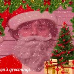 Season's Groomings with Maze