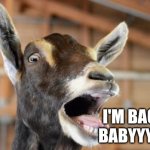 Im back ? | I'M BACK BABYYYYY | image tagged in screaming goat,imgflip,imgflip users,meanwhile on imgflip,imgflippers,animals | made w/ Imgflip meme maker