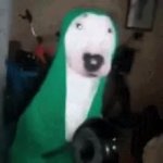 dog pan GIF Template