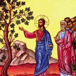 December 21  - Luke 21