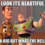 X, X Everywhere | LOOK ITS BEAUTIFUL; I SEE A BIG BUT WHAT THE HELL BUZZ | image tagged in memes,x x everywhere | made w/ Imgflip meme maker