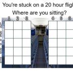 20 hour flight with coords meme