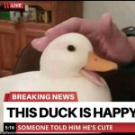 Upvote for good omen | image tagged in happy duck,quack | made w/ Imgflip meme maker