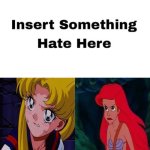 Ariel and Usagi hates who ? meme