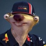 Max Verstappen Sloth