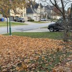 Neighbour does NOT Rake Leaves