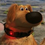 Doug squirrel dog up template