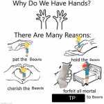Why do we have hands? To support Beavis! | Beavis; Beavis; Beavis; Beavis; TP | image tagged in why do we have hands all blank,beavis,beavis and butthead,funny | made w/ Imgflip meme maker