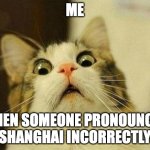 It's pronounced Shaang (as in pong) hai | ME; WHEN SOMEONE PRONOUNCES SHANGHAI INCORRECTLY | image tagged in memes,scared cat,pronunciation,china,english,chinese | made w/ Imgflip meme maker
