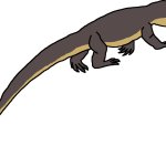 Female Megalania (Paleoverse + EOIverse)