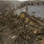 starship trooper bugs GIF Template