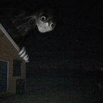 Nervous Houseguest template