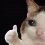 Sad cat thumbs up