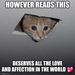 Yes you do :) | HOWEVER READS THIS; DESERVES ALL THE LOVE AND AFFECTION IN THE WORLD 💖 | image tagged in memes,ceiling cat,kindness,love | made w/ Imgflip meme maker