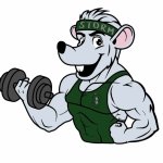 Gym Rat Meme