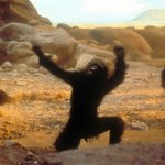 Intellingence and the opposite