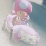 Toad Mario Kart 8 Mirror Image Mode