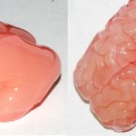 Your Brain VS. My Brain