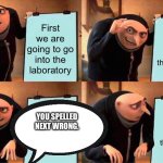 Gru's Plan | First we are going to go into the laboratory; Neext we will steal the diamond; Neext we will steal the diamond; YOU SPELLED NEXT WRONG. | image tagged in memes,gru's plan | made w/ Imgflip meme maker