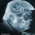 trump shyt for brains adelsbach