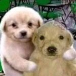 My friend wants to ask you