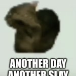 SLAY CAT | ANOTHER DAY ANOTHER SLAY | image tagged in gifs,spin,tornado,helicopter,slay,bitch | made w/ Imgflip video-to-gif maker