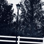 Light port Mirror Image Mode