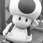 Toad Theme Park Mirror Image Mode