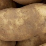 one potato