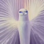 The Fever Bird (aka the afterlife bird) meme