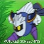 meta knight panics