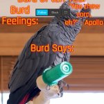 Burd of teh Year's Announcement Template