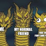 We all have that one friend | MY NORMAL FRIEND; ME; THAT ONE FUNY AHH FRIEND | image tagged in hydra | made w/ Imgflip meme maker