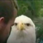 What in the Stars and Stripes..?