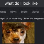 Fake search | what do I look like; *finding image* uh oh some body Did not win the genetic lottery | image tagged in fake search | made w/ Imgflip meme maker