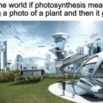 insert title here | The world if photosynthesis meant taking a photo of a plant and then it grows | image tagged in the future world if,memes,funny | made w/ Imgflip meme maker
