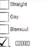 I identify as | MUFFIN | image tagged in i identify as | made w/ Imgflip meme maker
