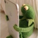 Kermit on phone